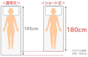 通常丈とショート丈の比較