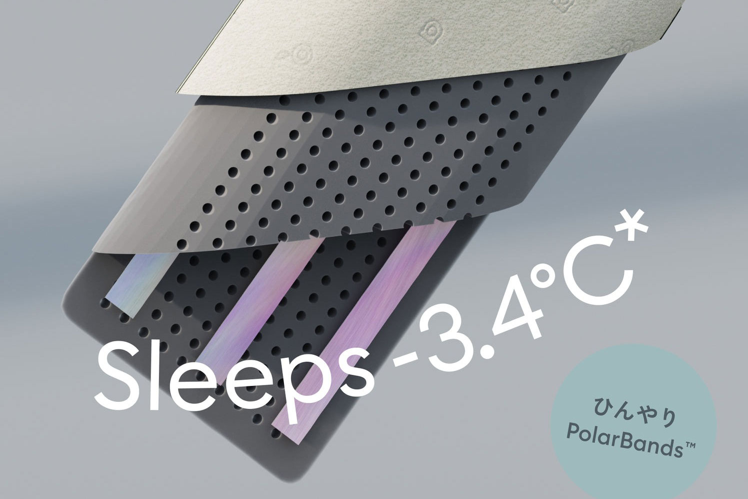 コアラピロー 2nd Gen