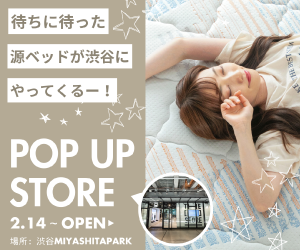 源ベッドPOPUP