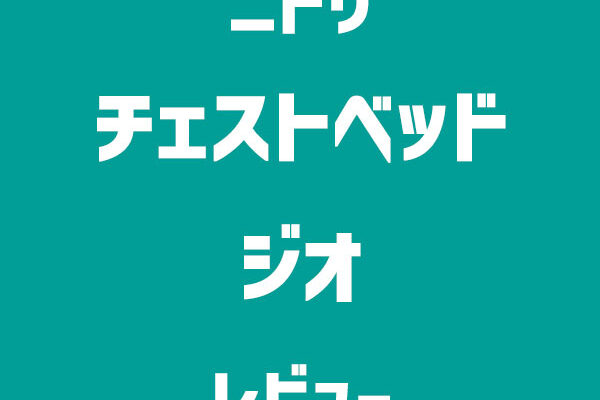 ニトリ「ベッド ジオチェスト40」