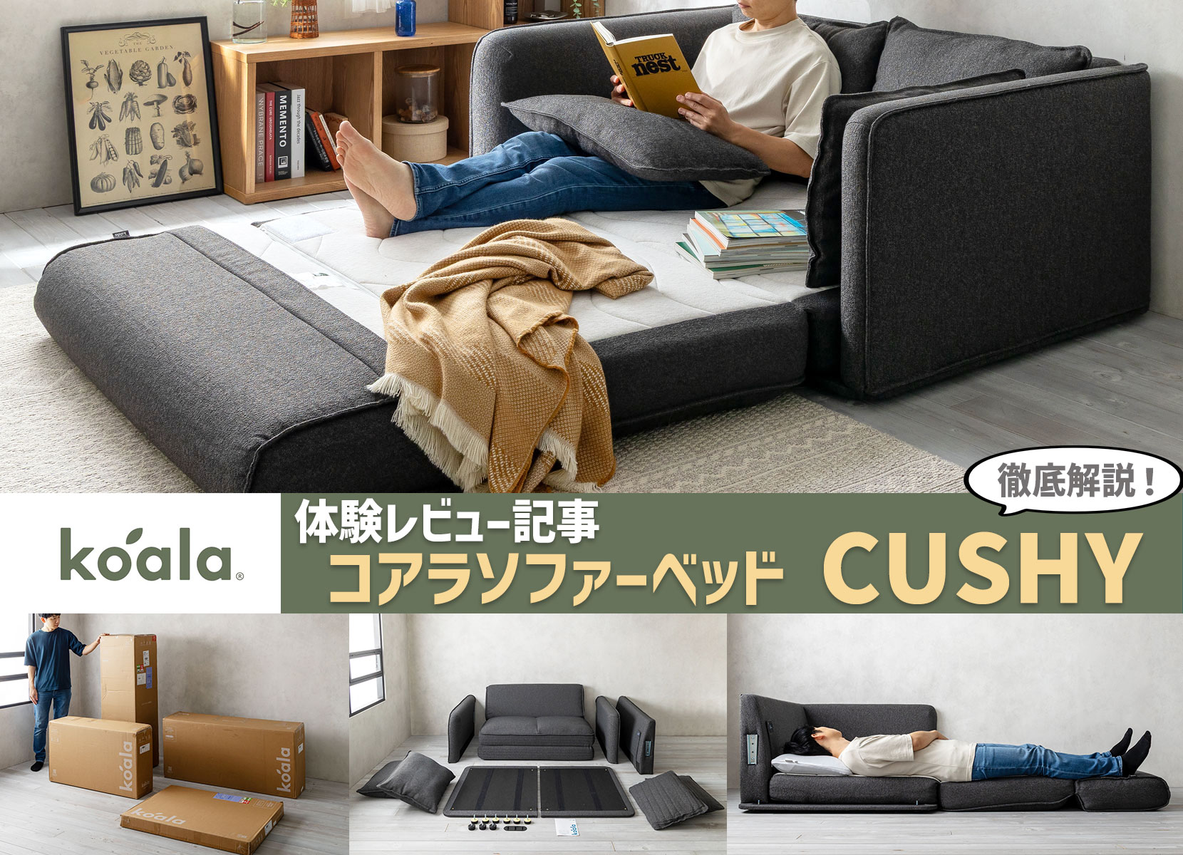 【徹底解説】コアラソファーベッド CUSHYの体験レビュー記事