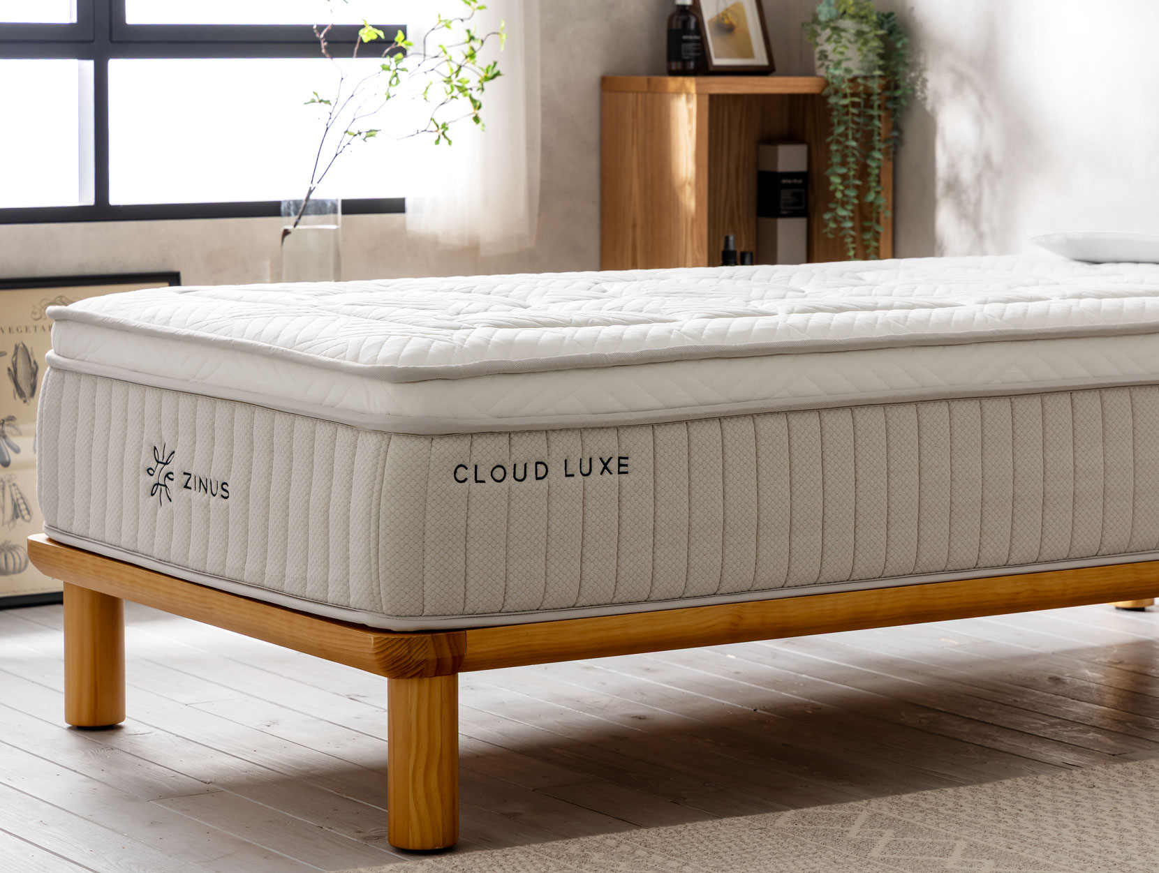 Cloud Luxeの使用イメージ