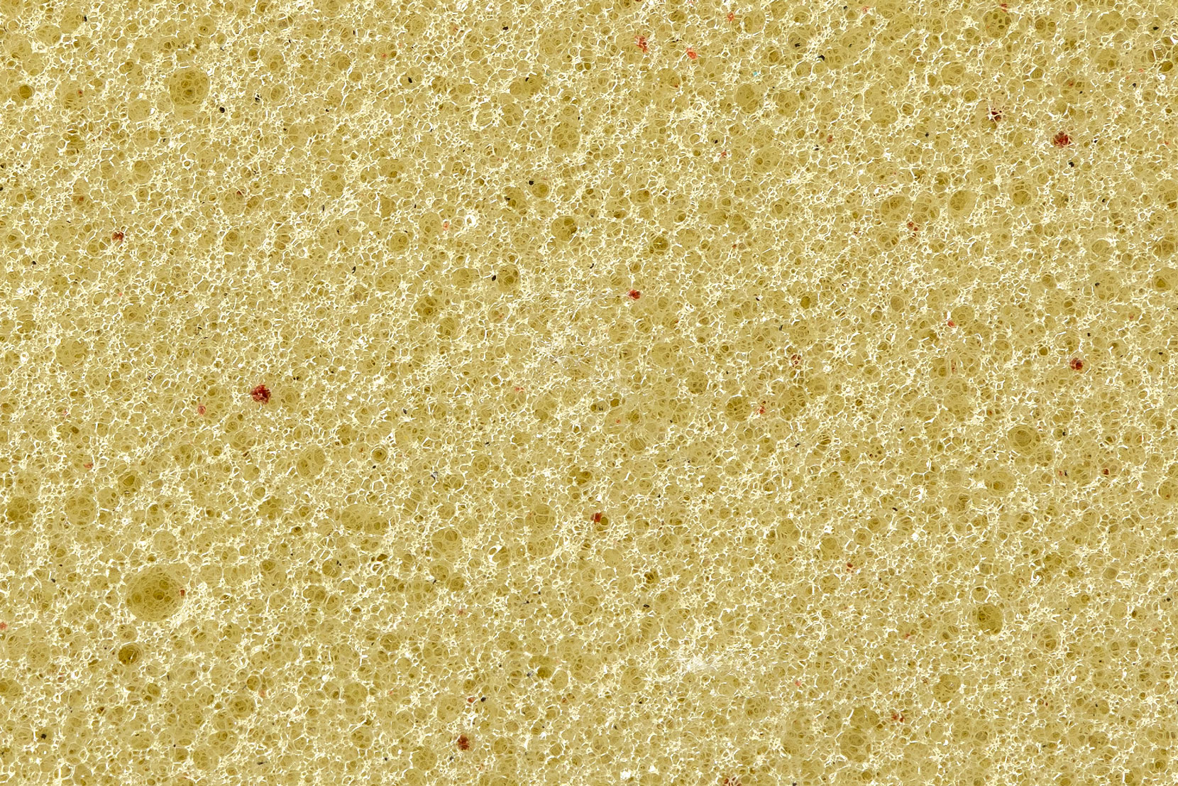 Copperメモリーフォーム