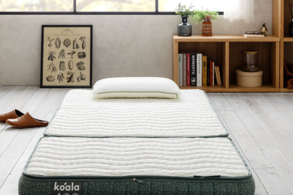 コアラフトン PLUS