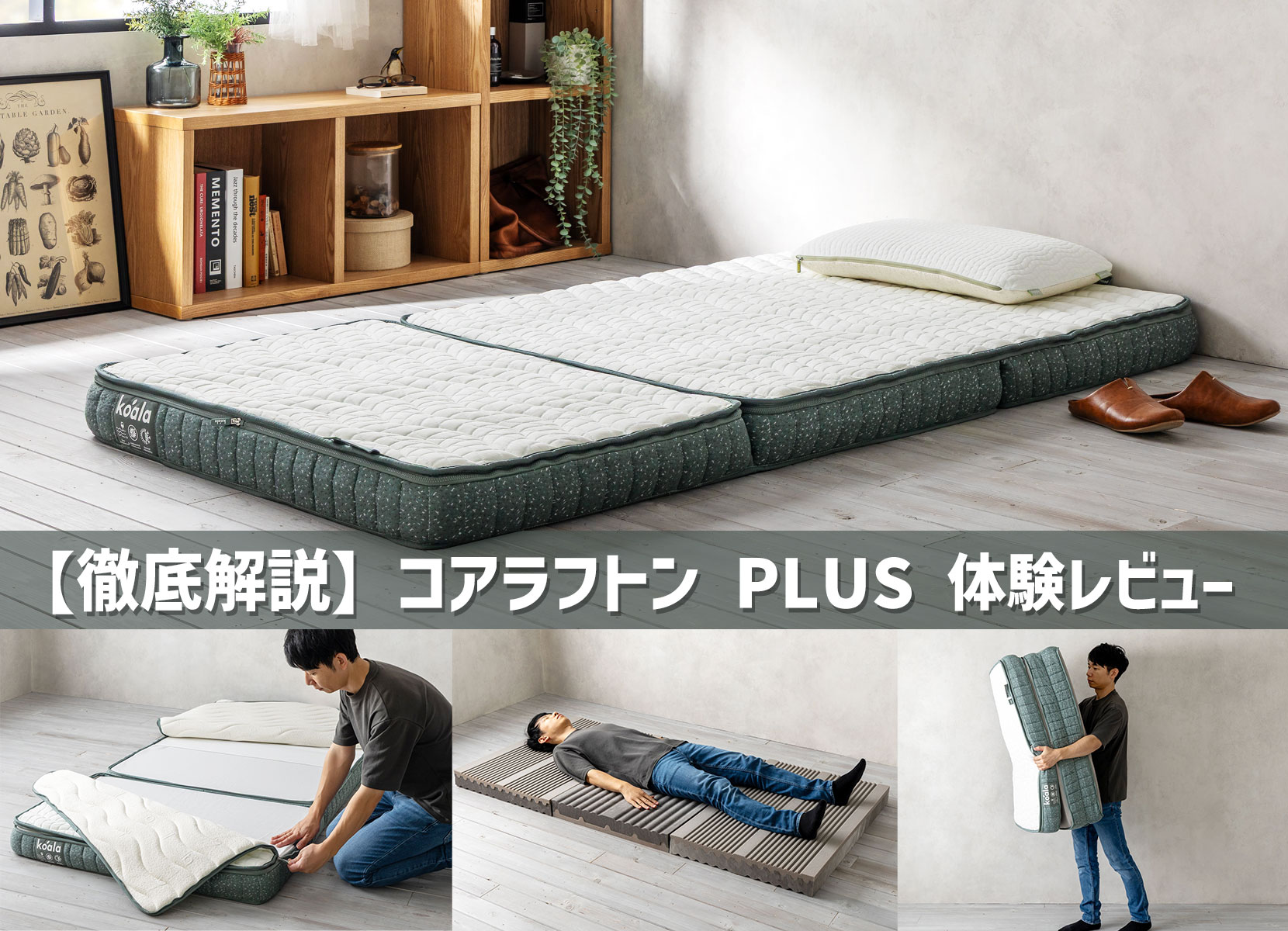【徹底解説】コアラフトン PLUSの体験レビュー