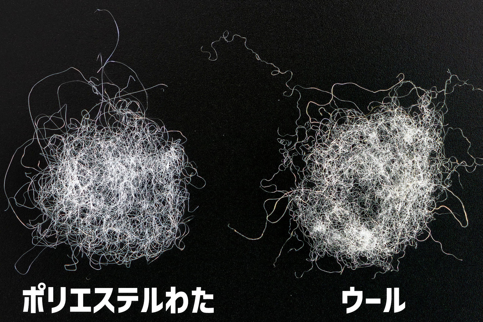 左：ポリエステル、右：ウール